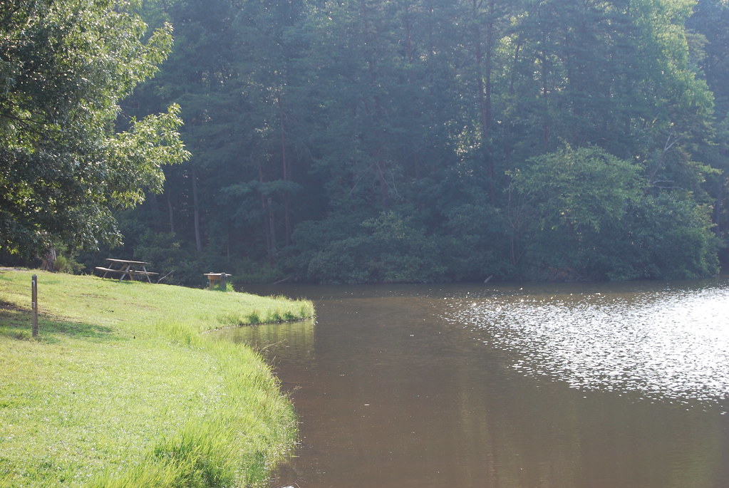 DSC_6886 lakeshore Bear Creek Lake State Park info www.dc… Flickr