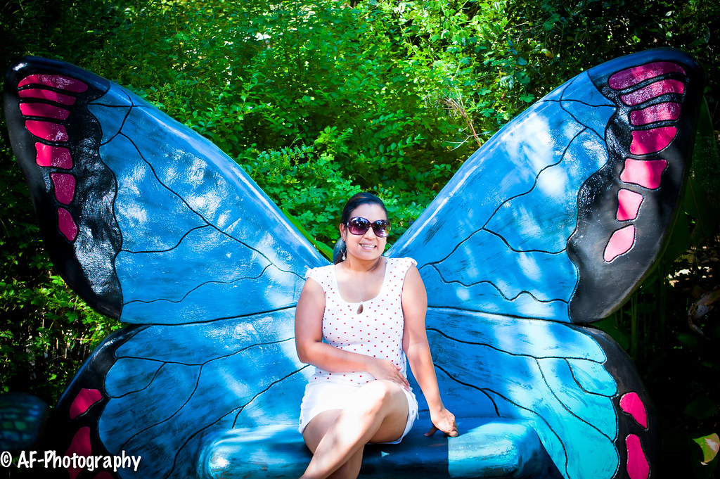 Sanford Zoo A short family trip to the Sandford Zoo aziem hassan