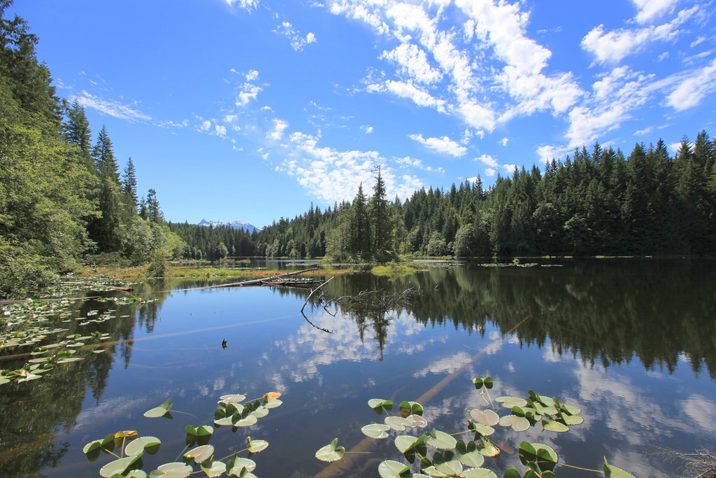 Stump Lake along the Four Lakes Trail in Alice Lake Provin… Flickr