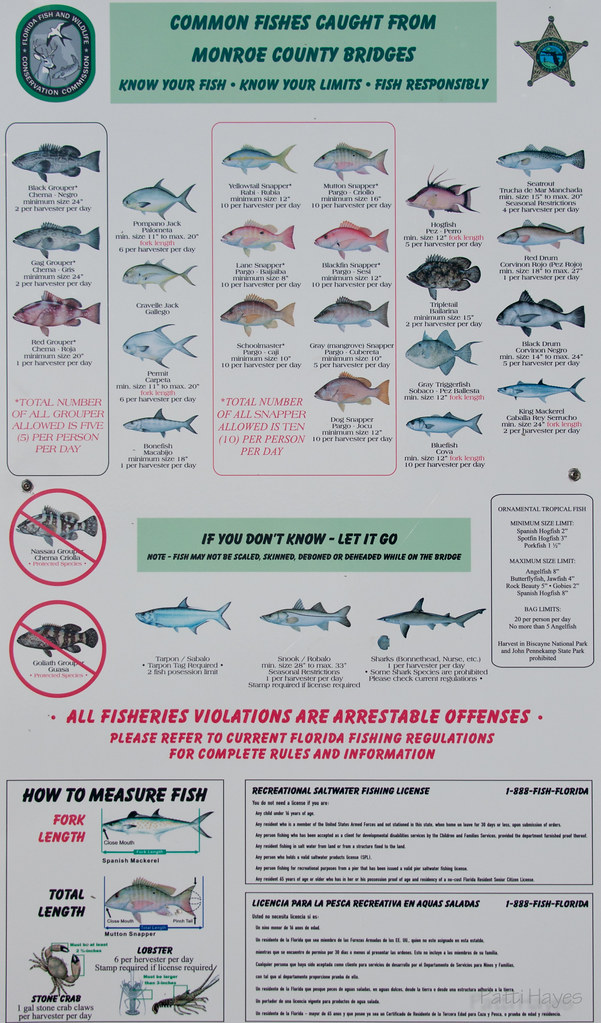 Fishing Rules That of which you can catch and keep when fi… Flickr