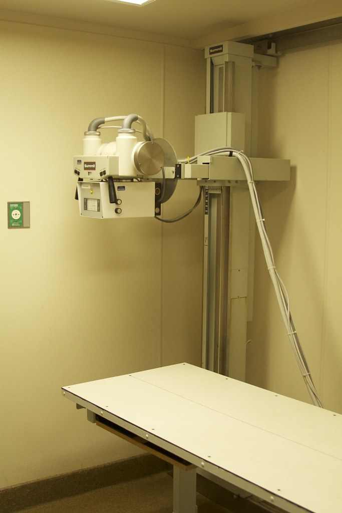 Marine Mammal Center Xray Blog post here. Lenore Edman Flickr