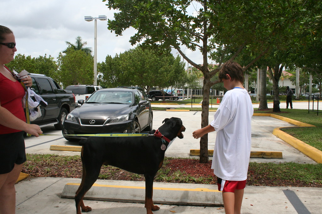 Ed Morse Sawgrass Auto Mall American Humane Society 011 Flickr