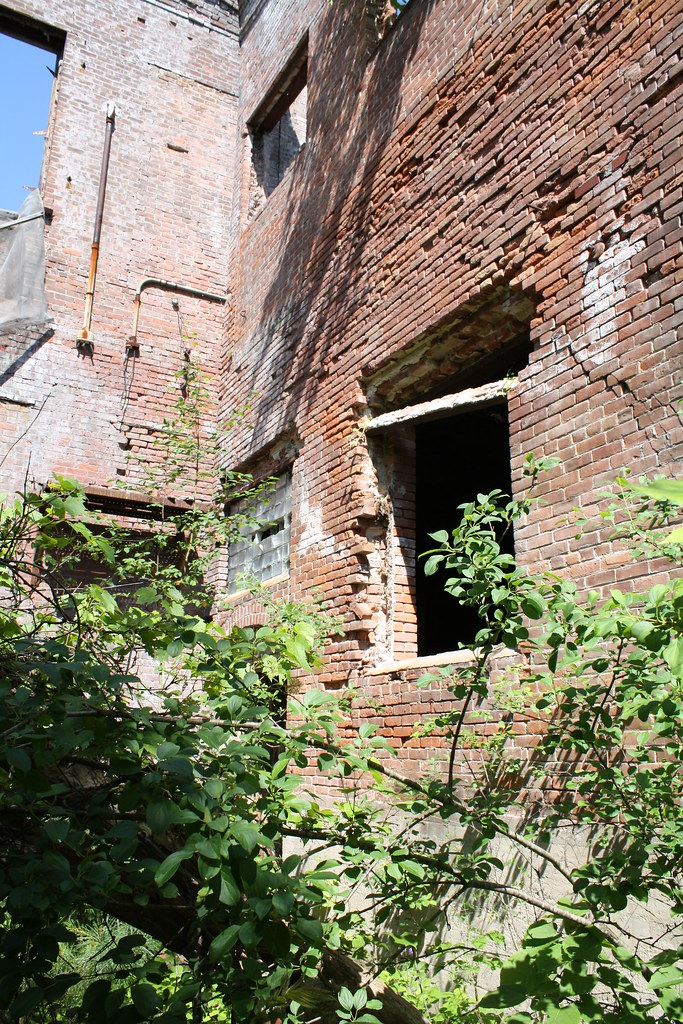 IMG_6466 Buzz__Killington Flickr