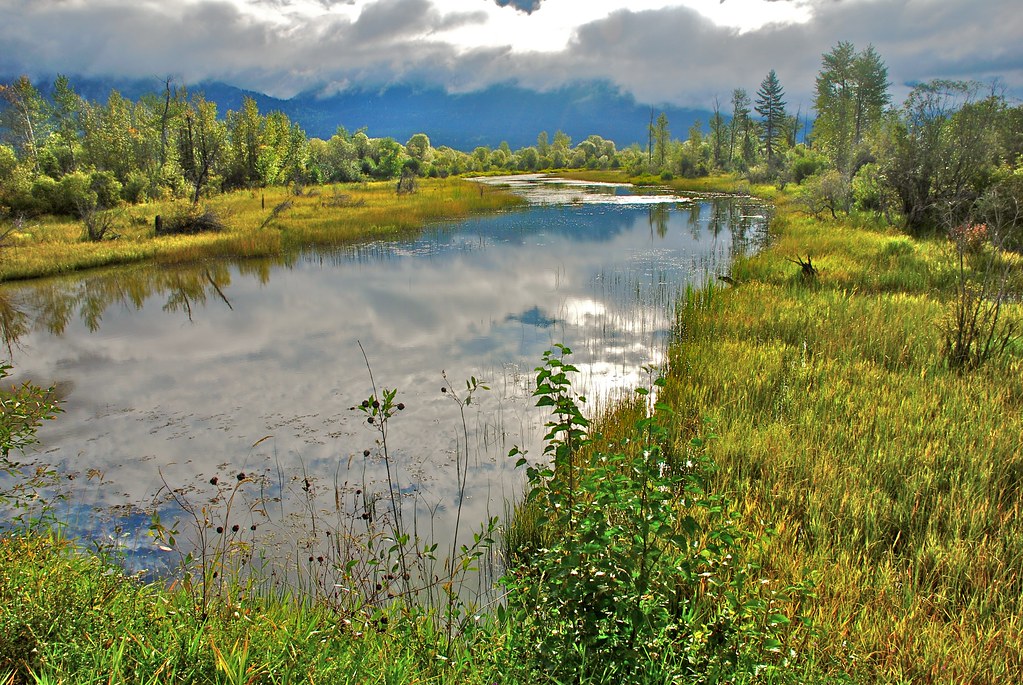 Columbia River near Spillimacheen Mark Flickr