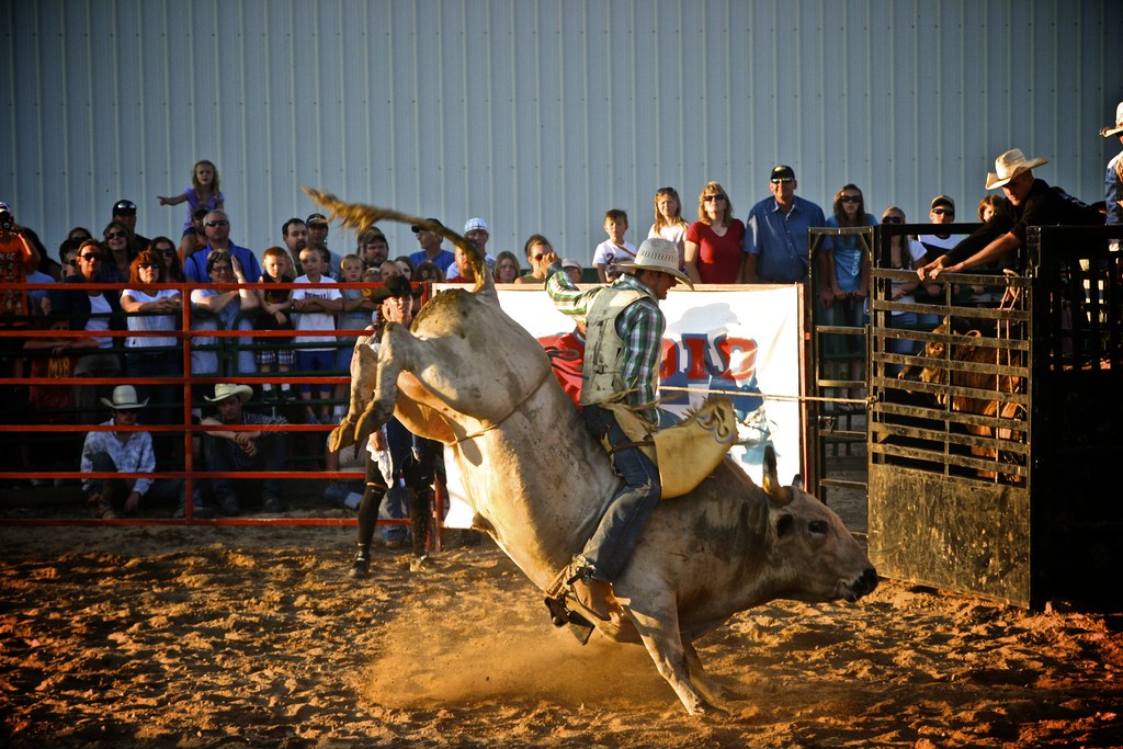 Bull Riding St. Louis County Fair Chisholm, Minnesota Kelly