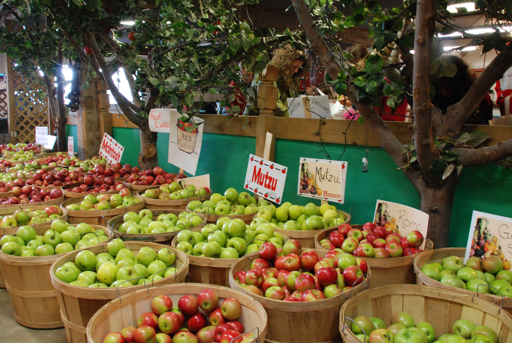 Apples at Doughtery Orchards Doughtery Orchards 1117 North… Flickr