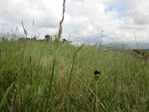 Stirling Castle Diane Main Flickr