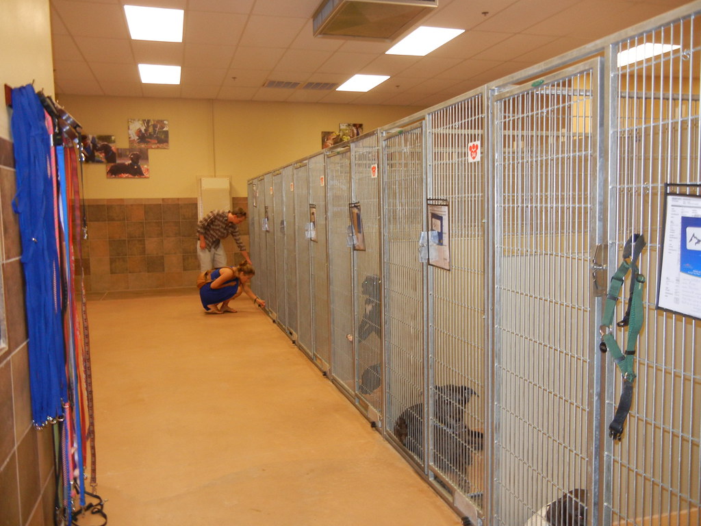 PetSmart Charities® Enhanced Adoption Center Grand Opening… Flickr