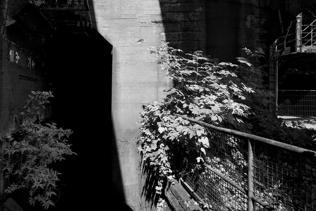 Die Schönheiten des Ortes (11) Piaseno Flickr