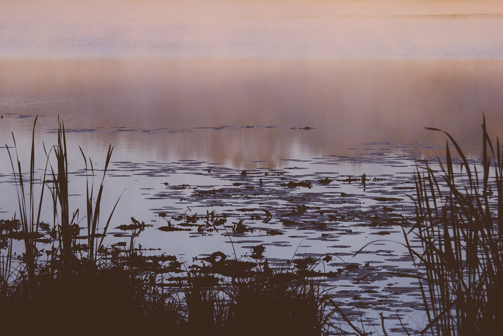 Morning on Plummer Lake Jereme Rauckman Flickr