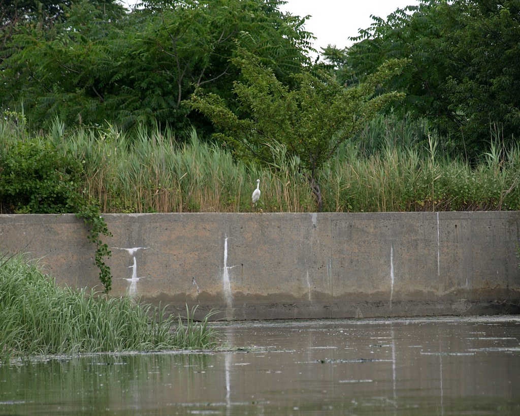 Spring Creek, Brooklyn, New York City jag9889 Flickr