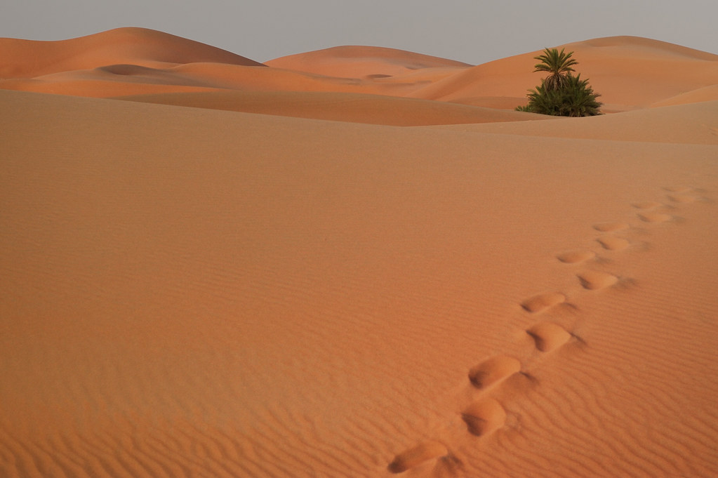 in a dry and waterless place Jon Bauer Flickr