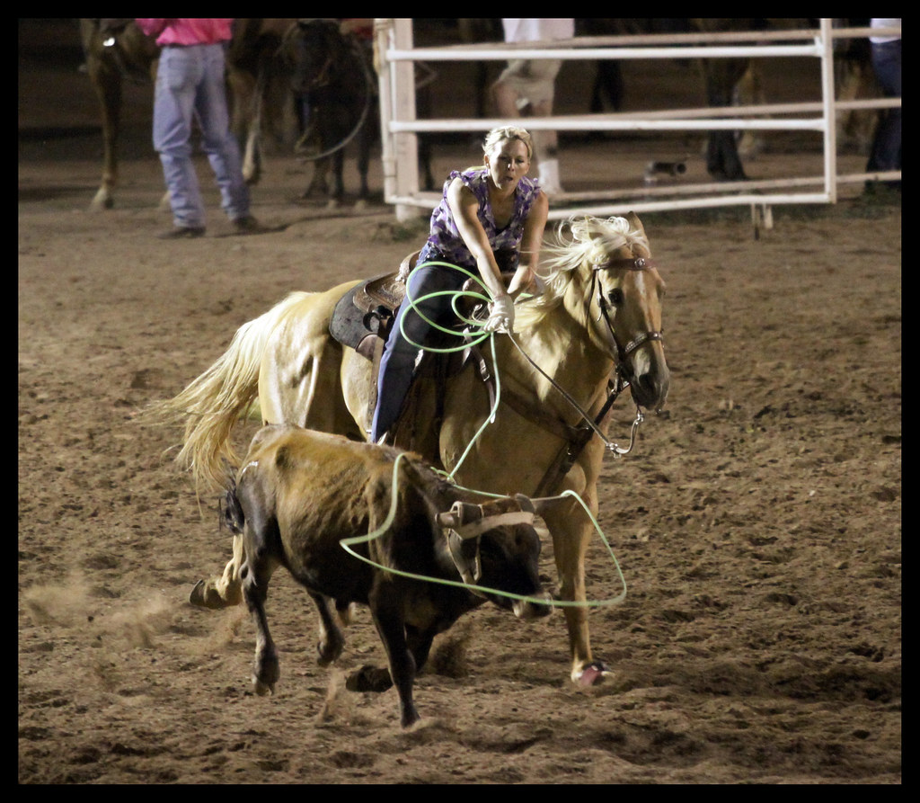 Roping 2011 Snowflake Pioneer Days Rodeo 3615zCB Flickr