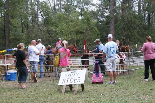 pecan festival 2023 mississippi Pecan Festival Richton Mississippi designtexartform