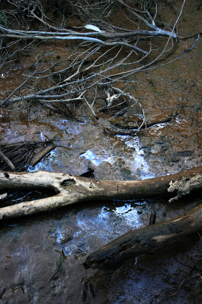 IMG_7102 Lee Pike Flickr