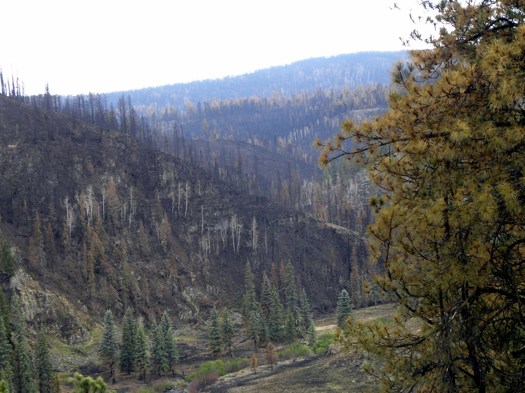 Black River above Three Forks3 Credit US Forest Service, … Flickr