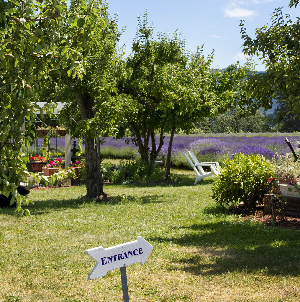 Lavender Valley Farm Lavender Valley Farm Hood River Ore… Flickr
