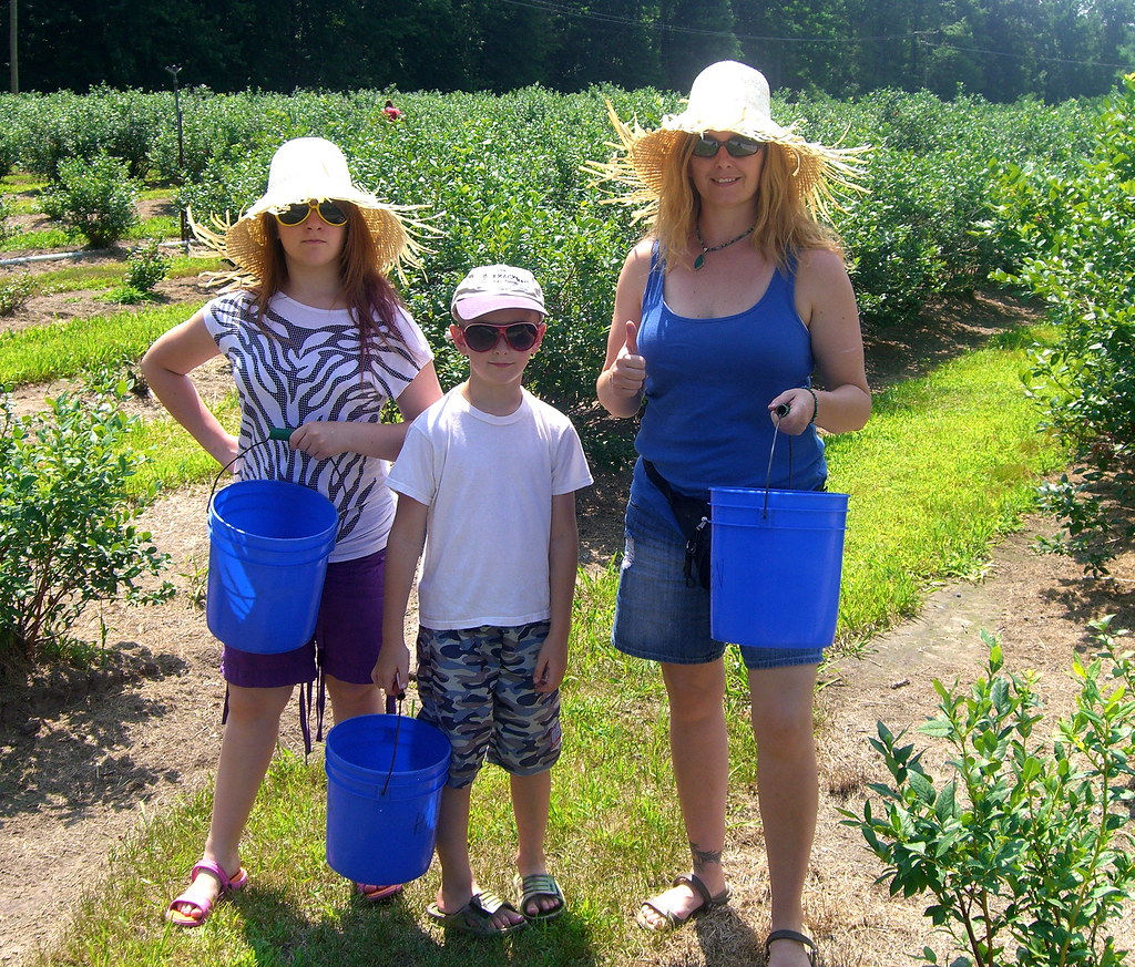 Hazen's Blueberry Farm Redeeming our Groupon at Hazen's Bl… Flickr