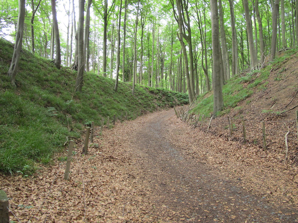 Hollow road LHOON Flickr