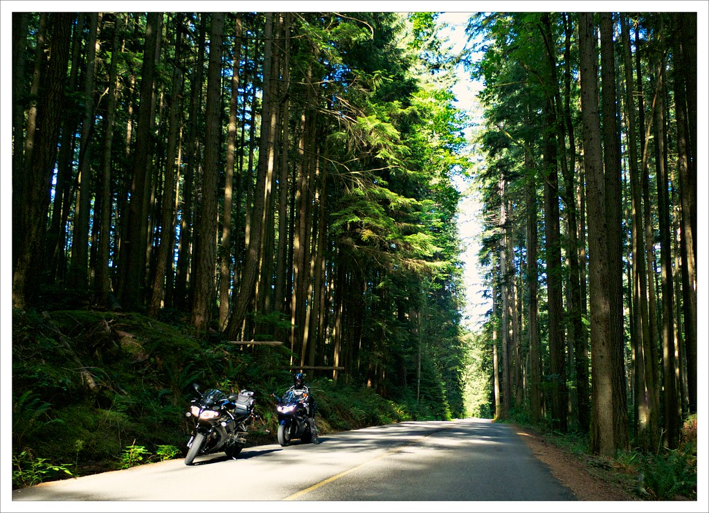 Indian River Road Shortly after this point the road narrow… Flickr