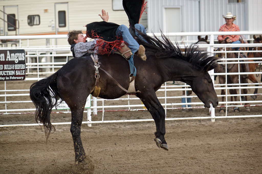 Winner Elks Rodeo kendra kpk Flickr