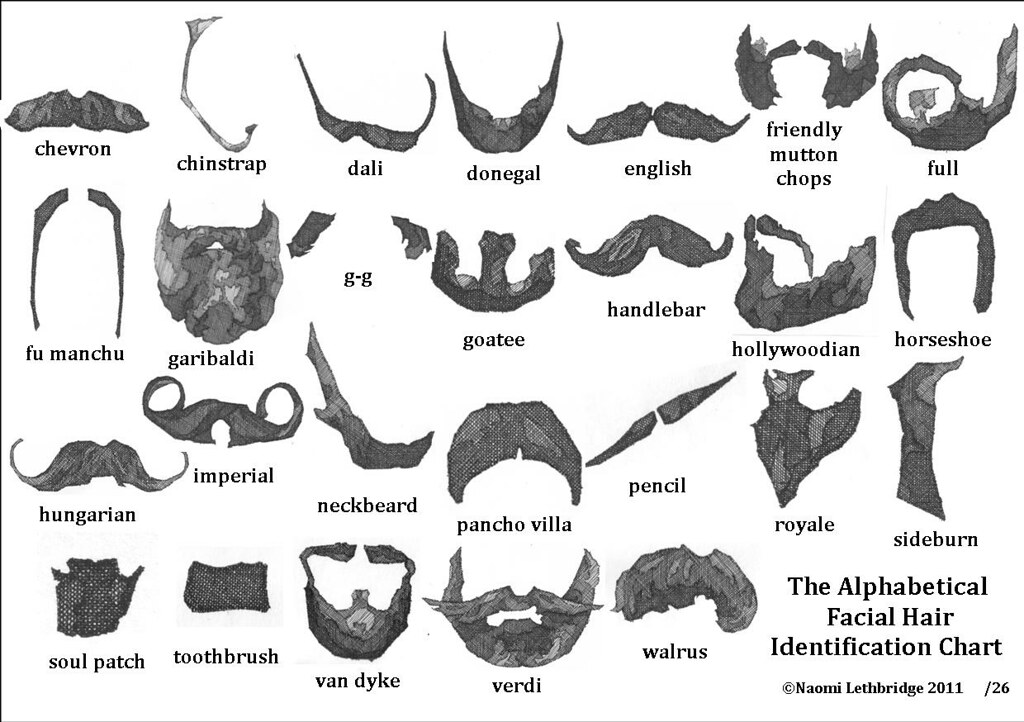 the alphabetical facial hair identification chart print 21… Flickr