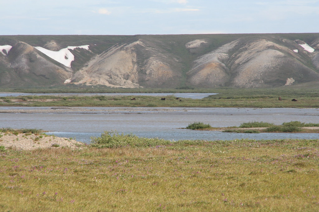 Arctic Kettle ponds These ponds were formed from melting g… Flickr