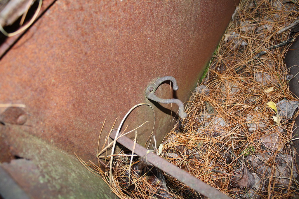 IMG_6458 Buzz__Killington Flickr