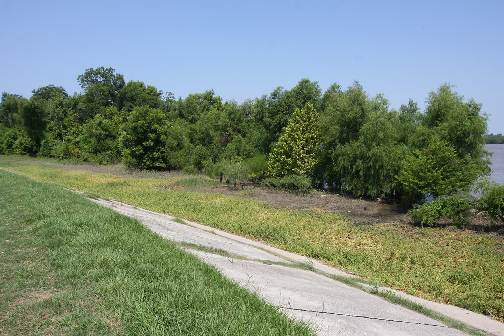 IMG_4612 English Turn Plaquemines Parish, Louisiana Geolog… Flickr