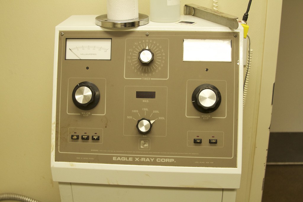 Marine Mammal Center Xray Blog post here. Lenore Edman Flickr