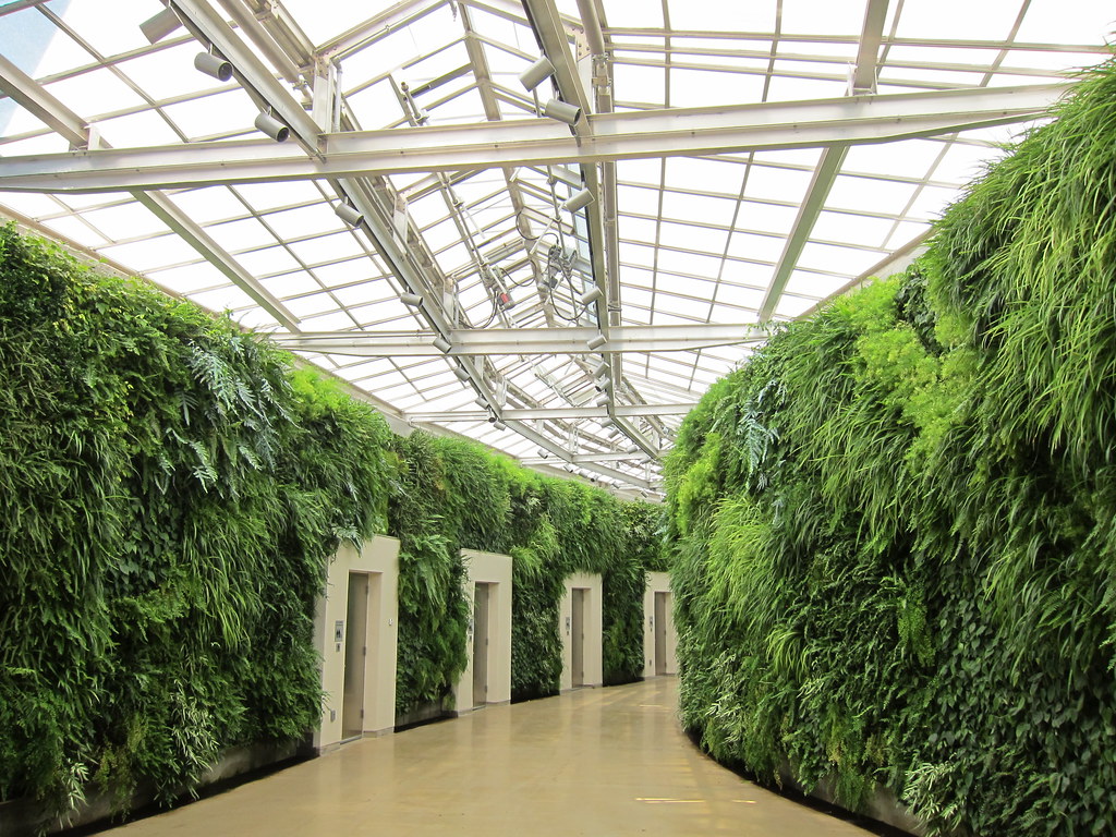 Longwood green wall the new green wall, the largest in N. … Flickr