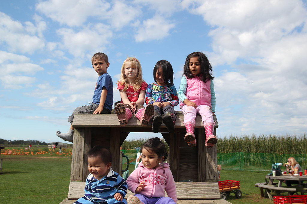 Windy Acres Farm Flickr