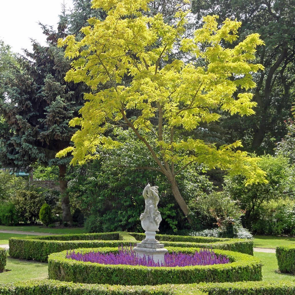 Statue Lavender and Tree in the Walled Garden at Sunbury Flickr