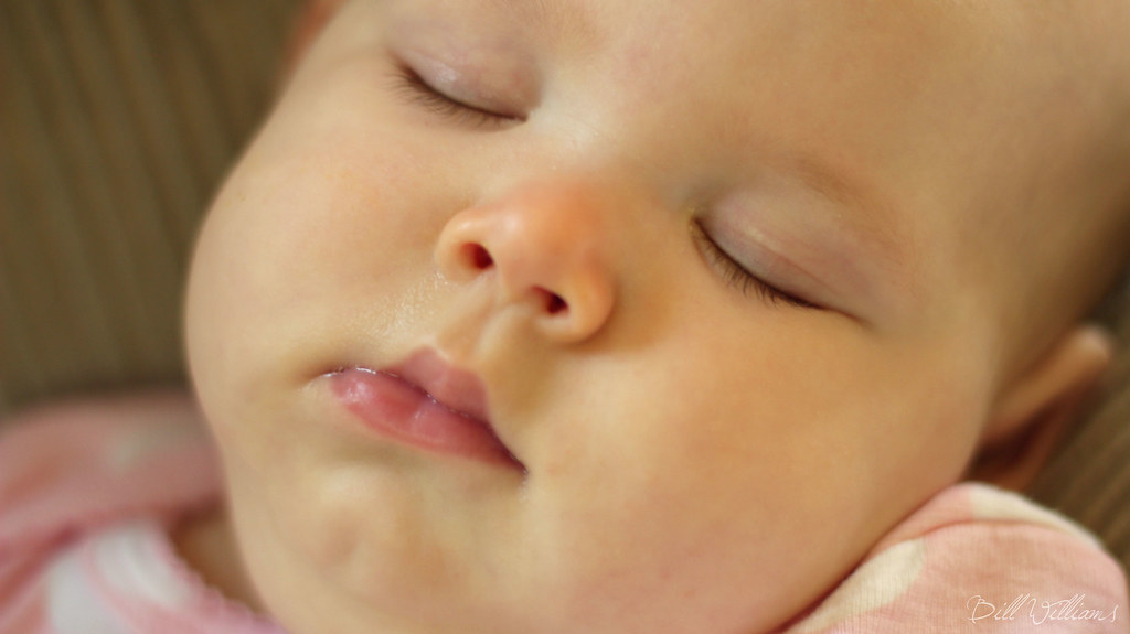 Sleeping Upright Coraline must have fell asleep while watc… Flickr