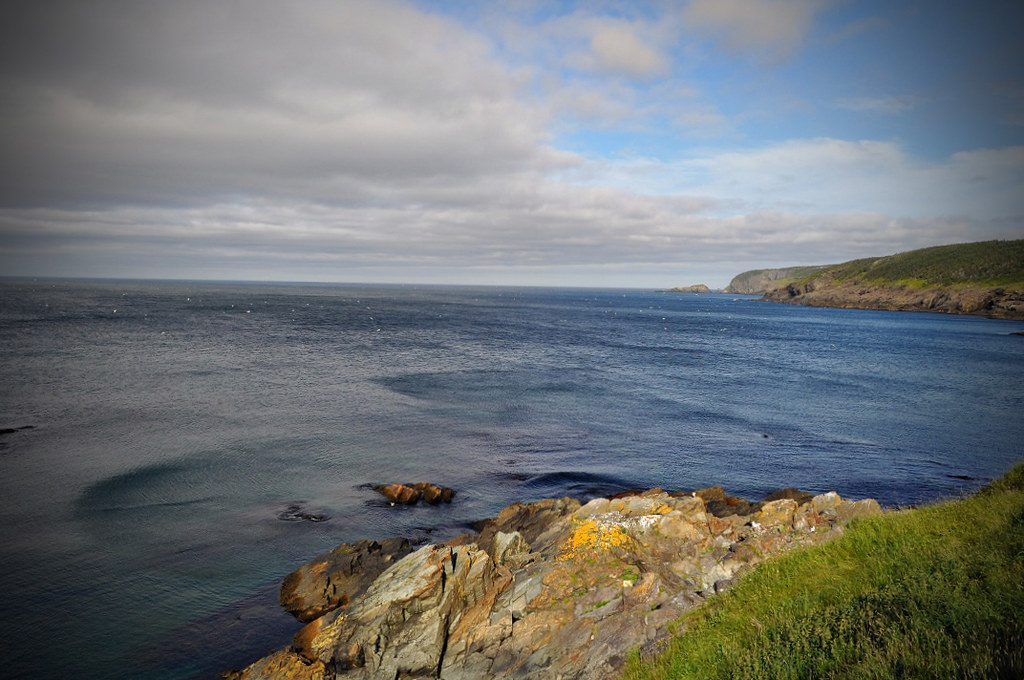 Pouch Cove I went for a drive out this way chasing blue sk… Flickr