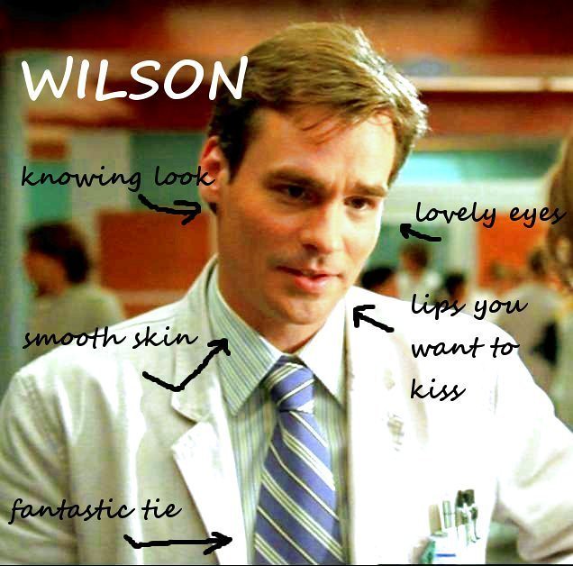 House M.D. James Wilson Silva.s Flickr