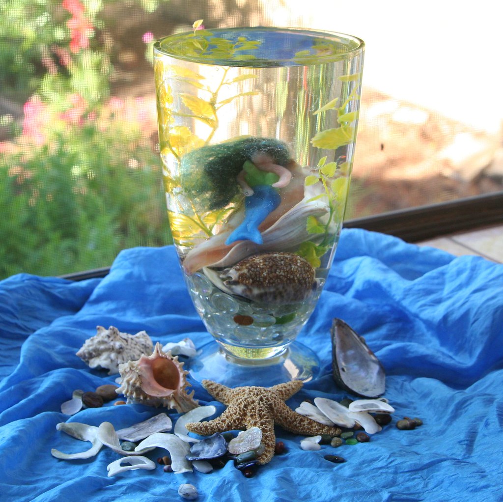 Mermaid Aquarium Finished Flickr