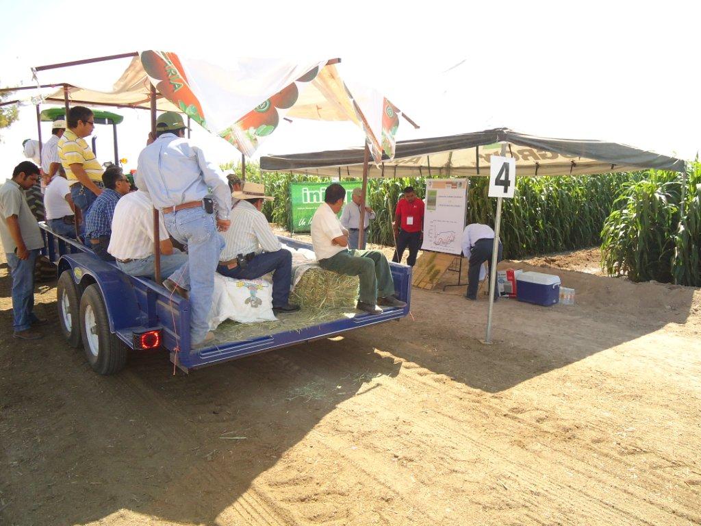 PAMPA VERDE BMR6 Dia de Campo en la Granja Ana en Gomez Pa… Flickr