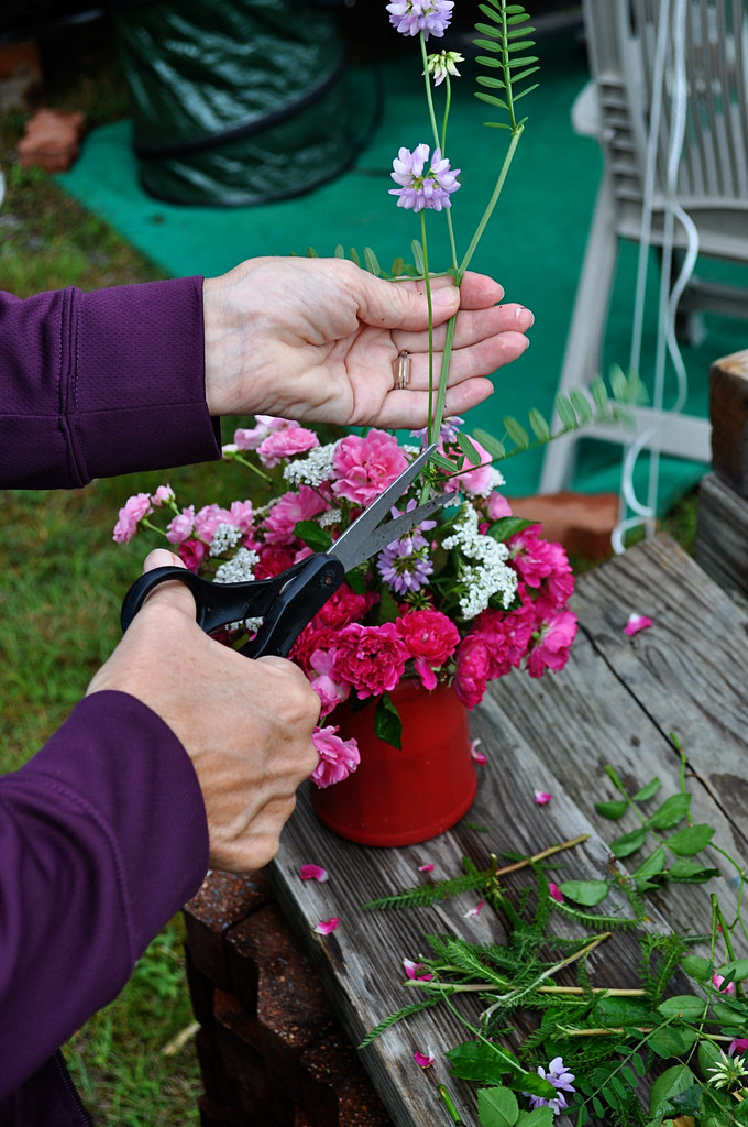 DSC_0086 Wild flower picking in Rocky Hollow Aimee Richardson