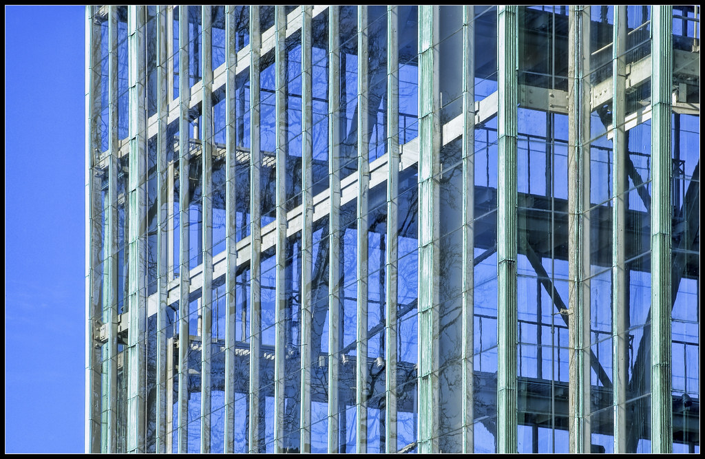 Through the Jewel Box Forest Park. St. Louis, Missouri. Flickr