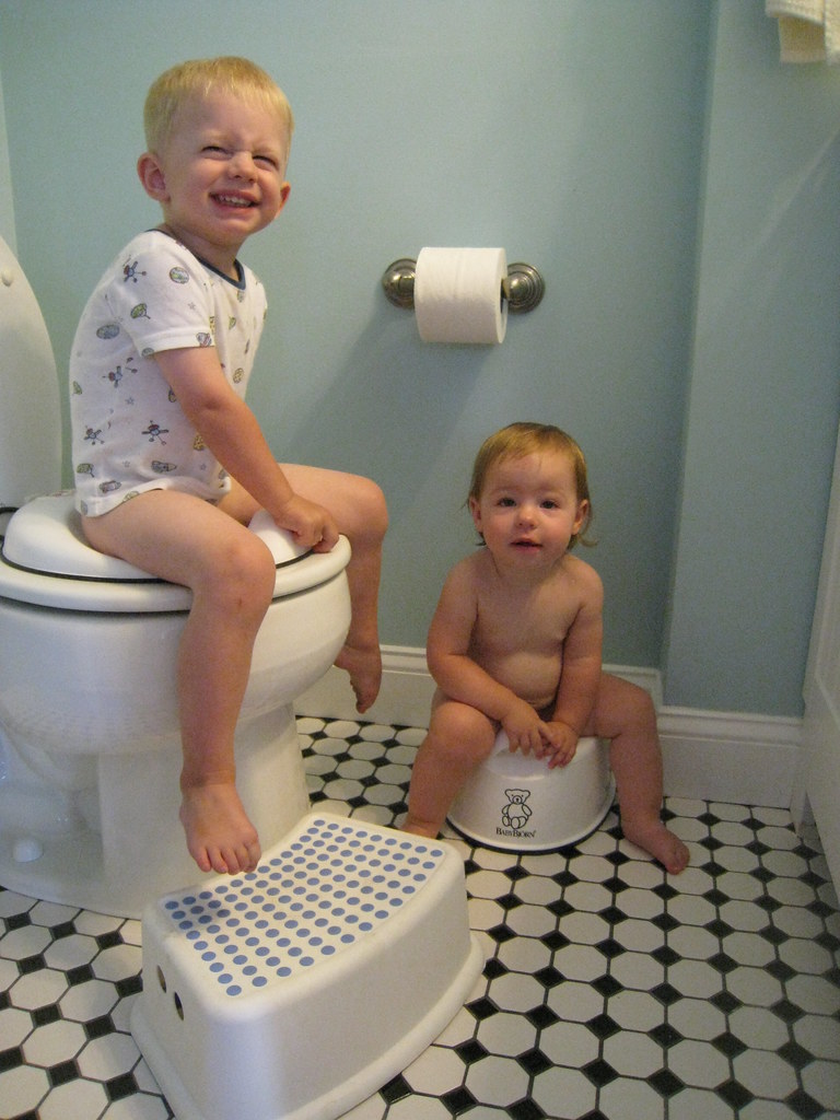 Potty training And yes, Olivia has peed on the potty. Just… Flickr