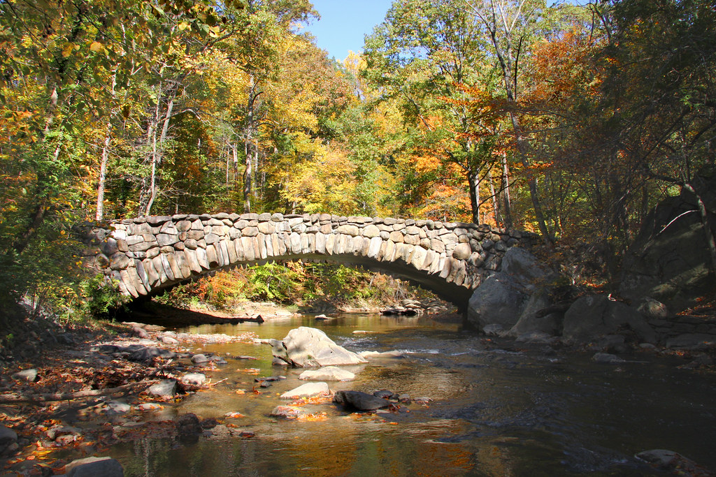Rock Creek Park Tues 25 Oct 2011 (39) smata2 Flickr