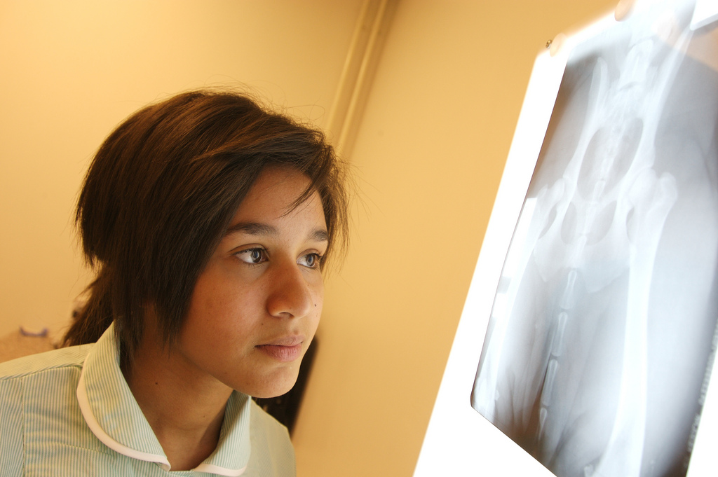 Vet Post Graduate Acrediting Body vet centre images Nottingham