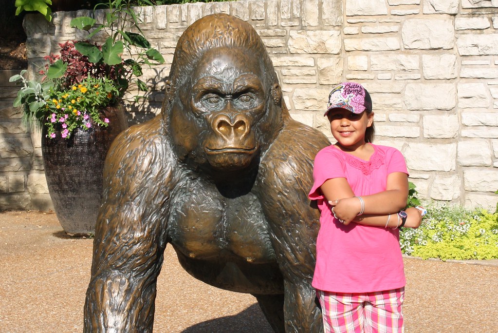 St.Louis Zoo 2011 030 Lonnie Seidel Flickr