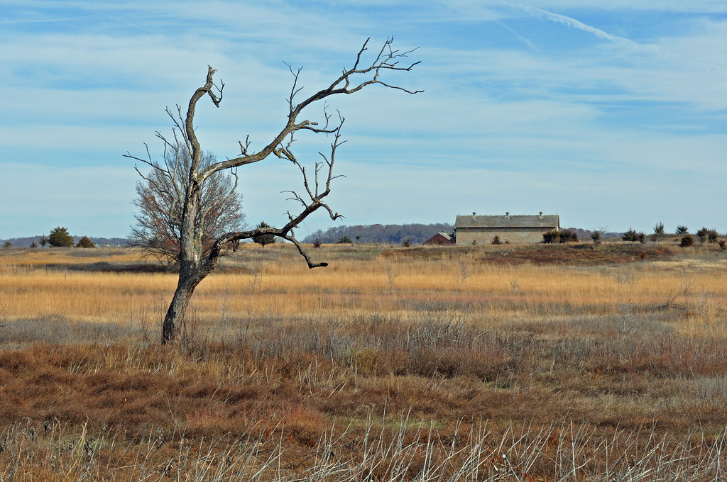 Sand Prairie Sand prairie habitat of the Driftless Area. P… Flickr