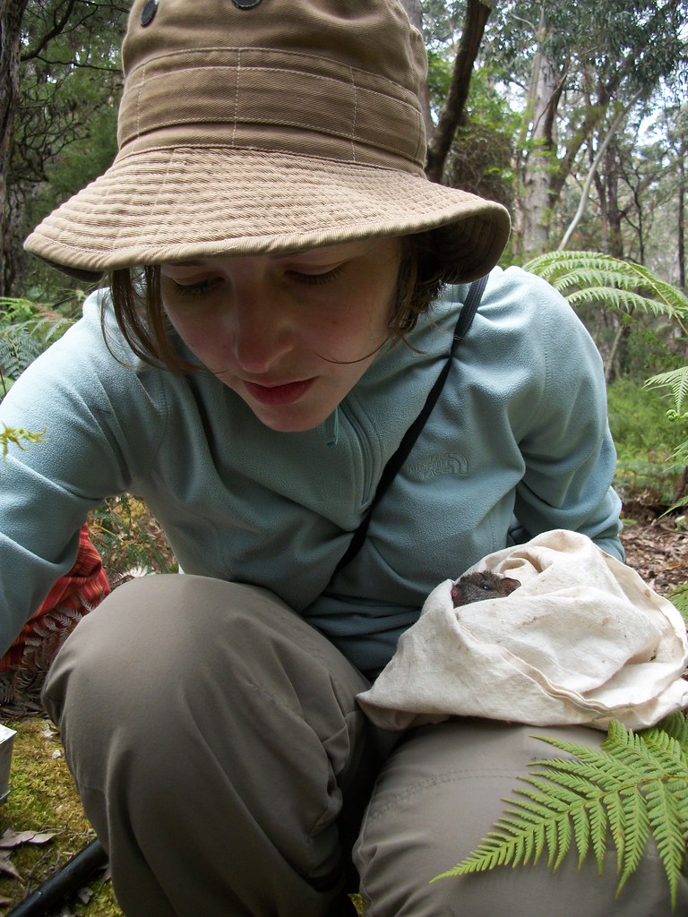 Karen Rowe MV DR Karen Roberts rat wrangling Photograph M… Flickr
