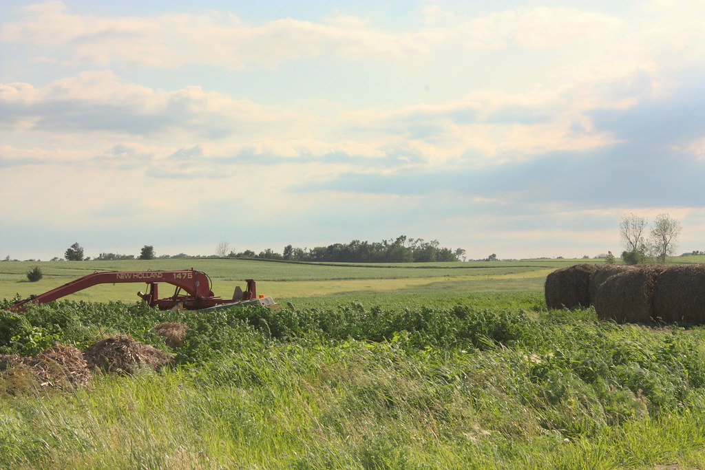 Elevation of Gayville Township, SD, USA Topographic Map Altitude Map