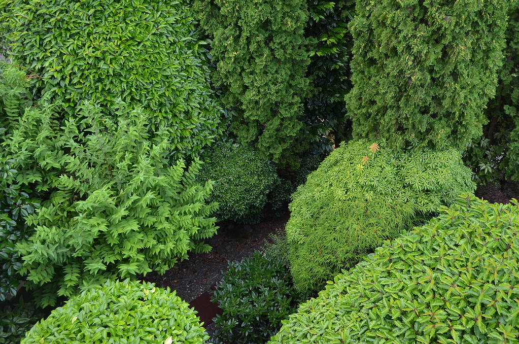 Shrubberies a photo on Flickriver