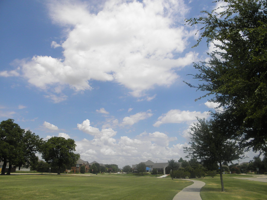 view from the park Glendover park, Allen, Texas Robert Nunnally