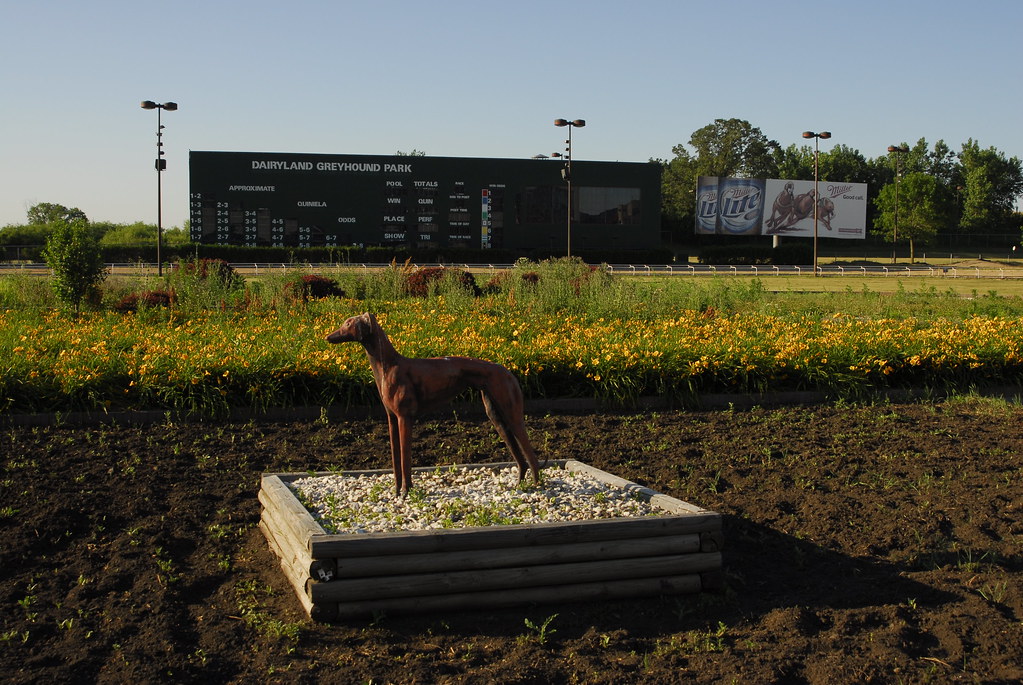 Dairyland Greyhound Track Flickr